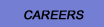 Careers